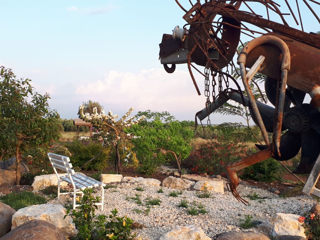 ������ ������