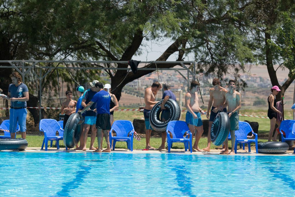 ����� �� 81