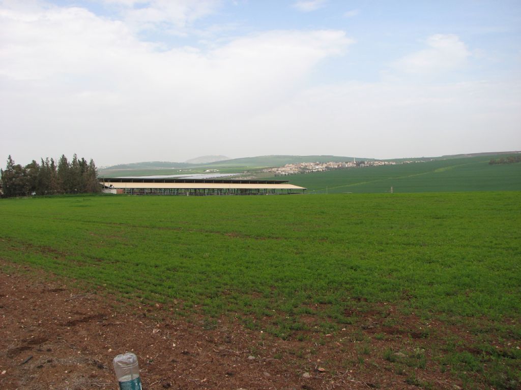 ���� �����